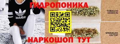 гашиш Ачхой-Мартан