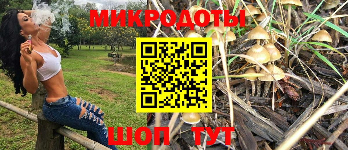Когалым  Псилоцибиновые грибы Psilocybine cubensis  Псилоцибиновые грибы MAGIC MUSHROOMS  Вход с VPN 